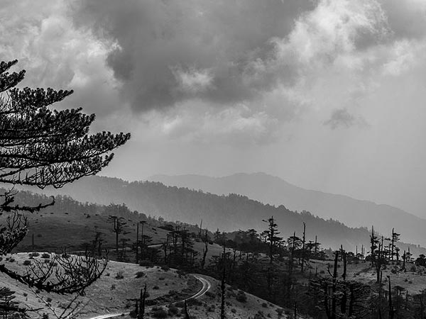 3- संदक्फू, पश्चिम बंगाल 