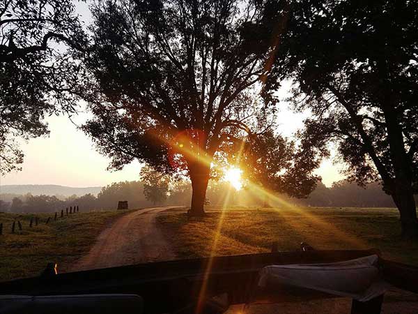 कैसे पहुंचे 