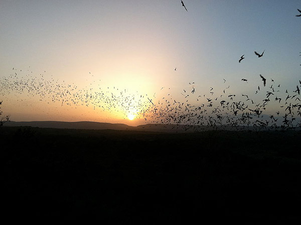 आत्महत्या बनी रहस्य 