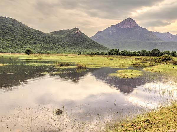 नागलापुरम हिल्‍स 