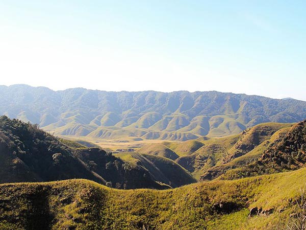  कैसे पहुंचे नागालैंड 