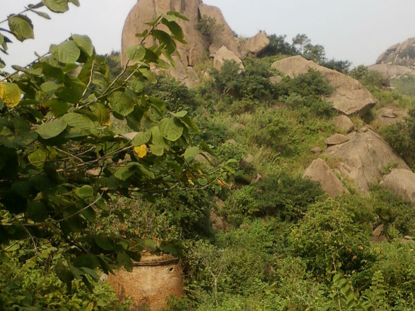 जॉयचंदी पहाड़