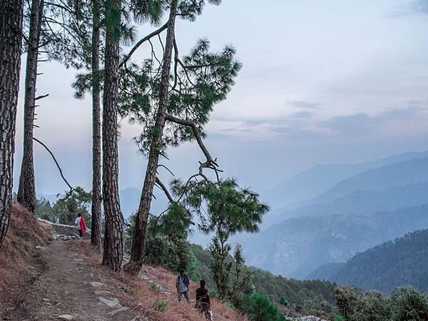 एक आदर्श विकल्प 