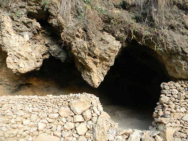 बाघ की गुफाएं 