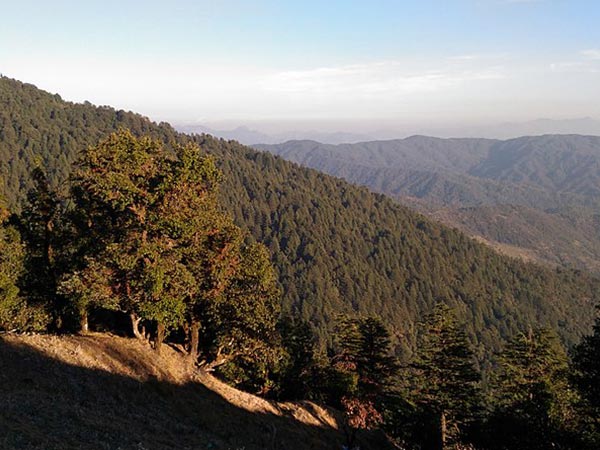 कैसे आएं बिनसर 