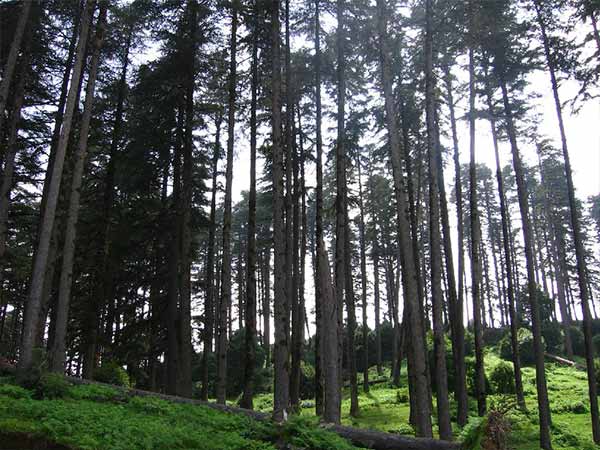 आस पास घूमने लायक जगहें 