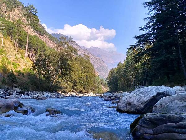 बोनफायर का मजा 