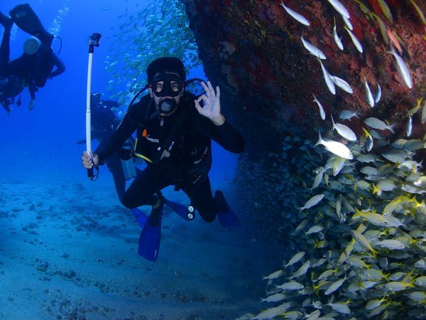 अण्डमान द्वीपसमूह