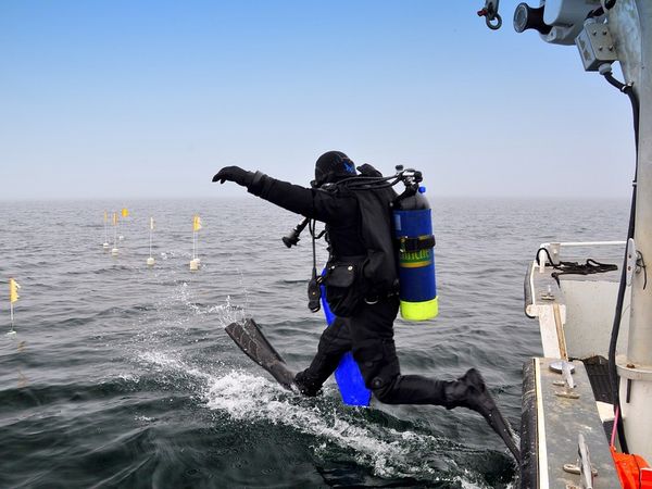 ग्रैंड आईलैंड, गोवा 