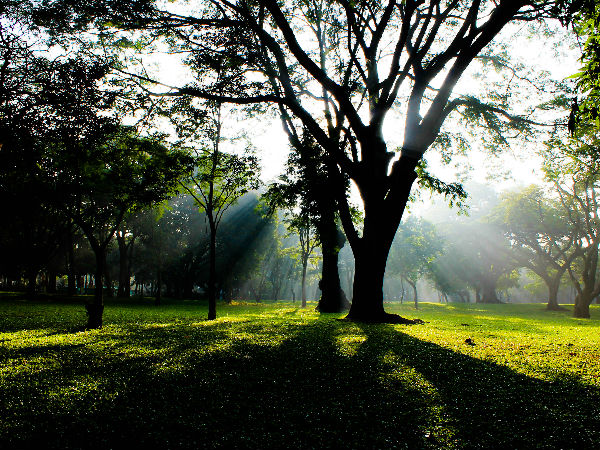 कब्बन पार्क