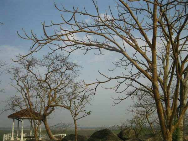 हजारीबाग़ 