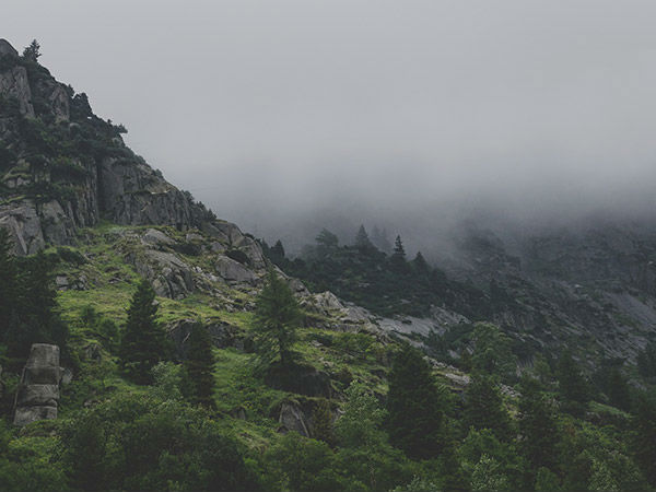 शिपकी ला पास 