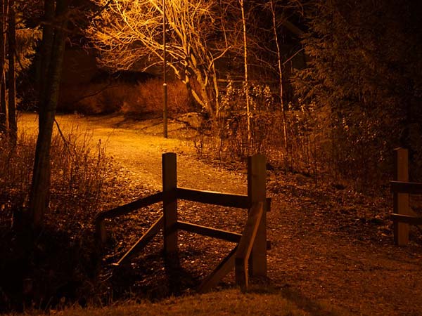 सीवान का कब्रिस्तान 