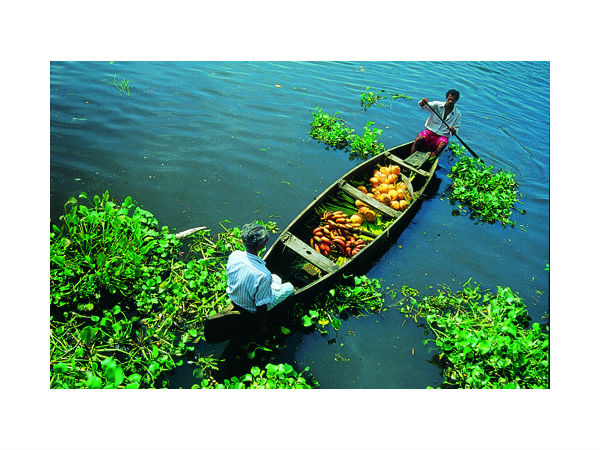 कैसे जाएं अलेप्पी