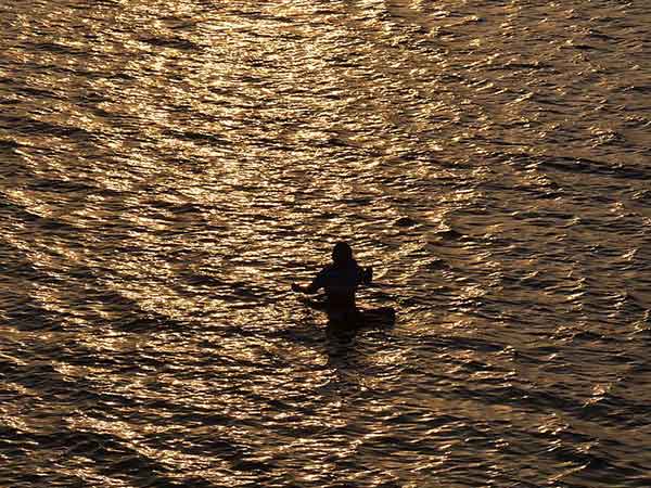 कैसे करें प्रवेश 