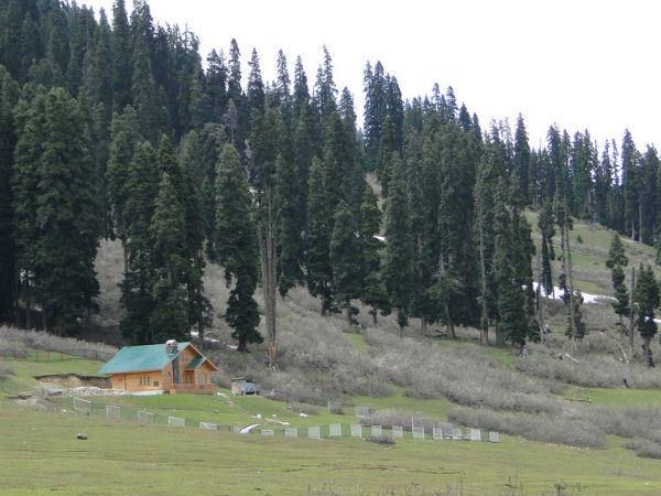 दूध-पथरी घूमे 