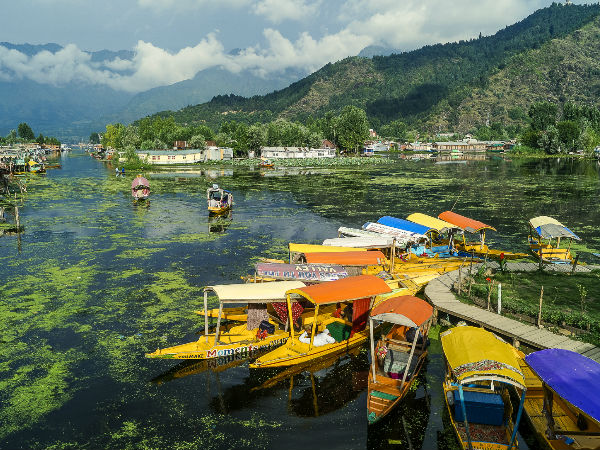 श्रीनगर 