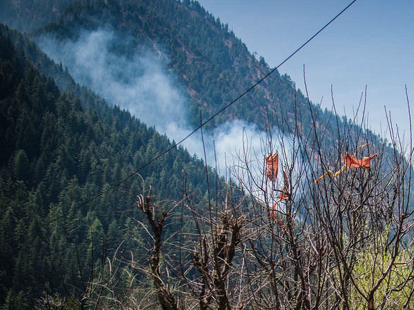 कहां है चलाल ?