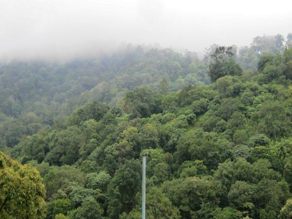 ले नाईट सफारी का मजा 