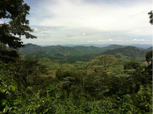 सकलेशपुर 