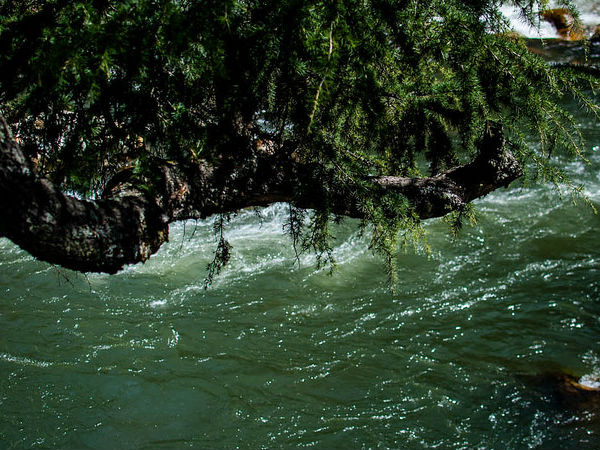 लजीज खाना 