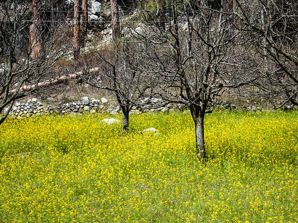 बजट के अंदर 