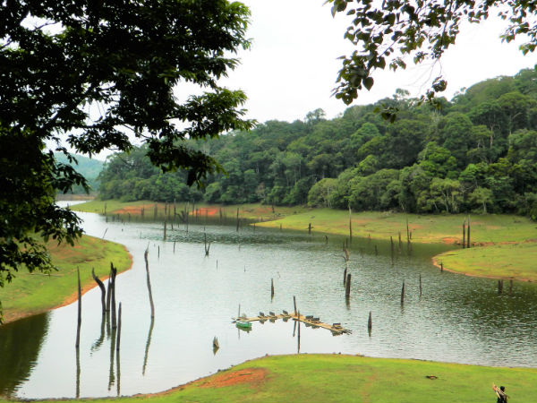 पेरियार वन्यजीव अभयारण्य घूमे 