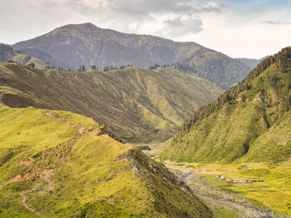 बसोहली बसोहली