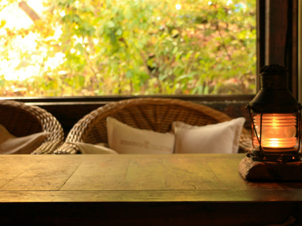 मगरमच्छ नदी 