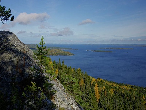  कोली हिल्स