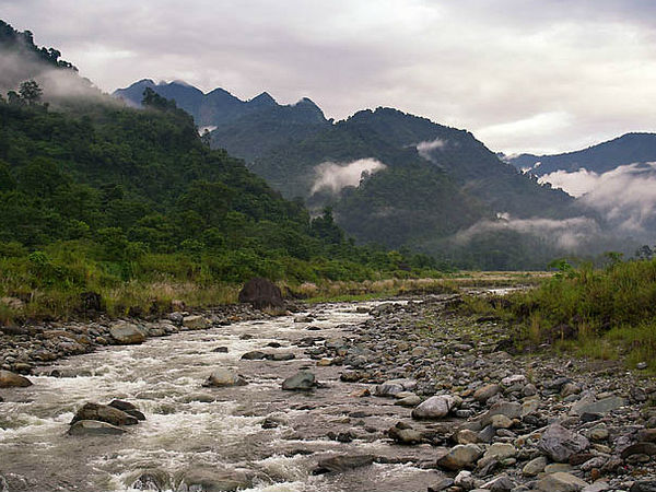 कैसे पहुंचे रोइंग?