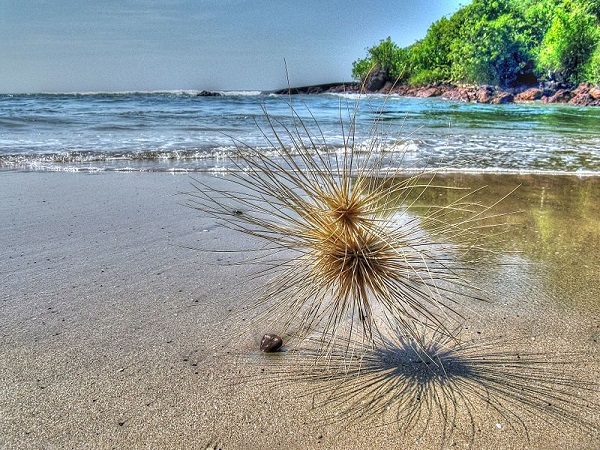अगोंडा समुद्री तट, गोवा 