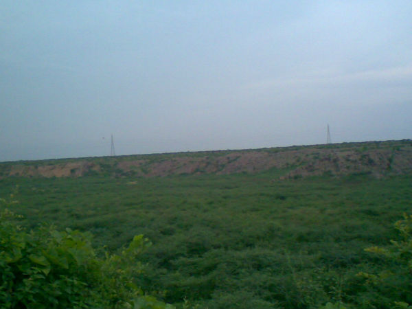 बड़खल झील