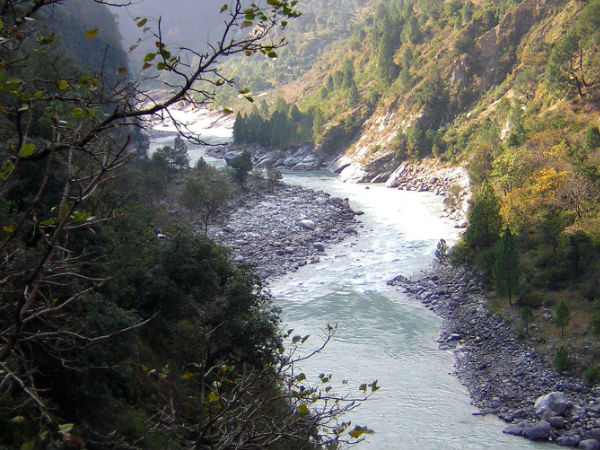 गुर्सो बुग्याल 