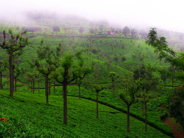 कुन्नूर