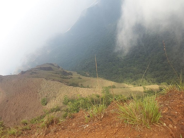 कोदाचद्री