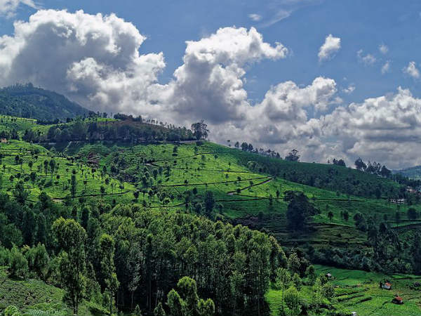 कोटागिरी