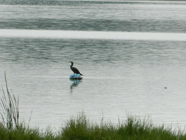 कुक्करहल्ली झील 