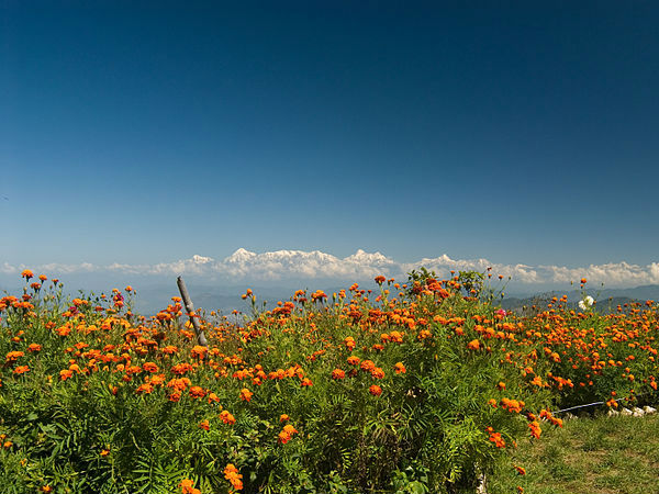 मुक्तेश्वर