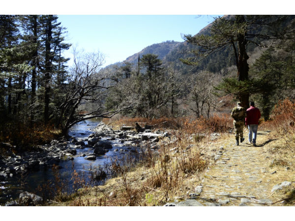 हाईकिंग-ट्रैकिंग 