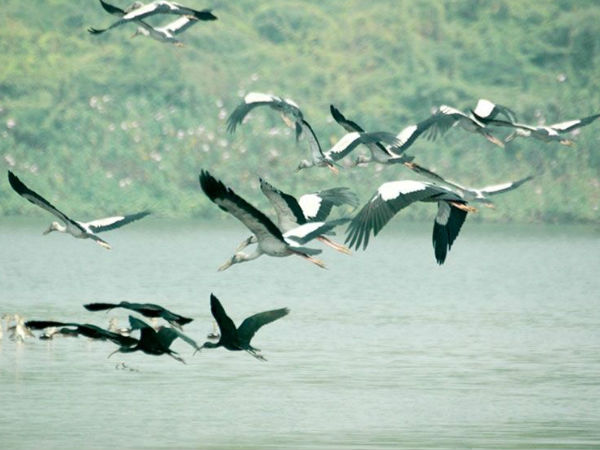 सुरहा ताल