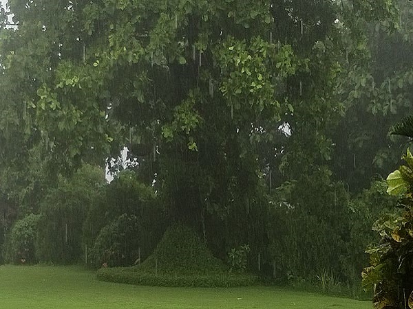  कैसे पहुंचे चलसा