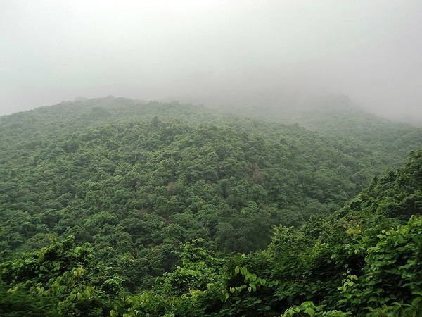 जैन संग्रहालय