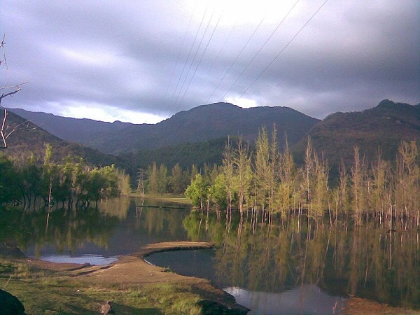 थोनिकाडावु