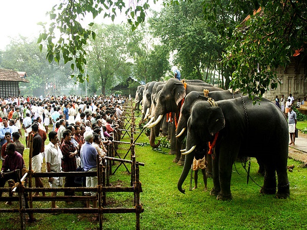 कैसे करें प्रवेश 