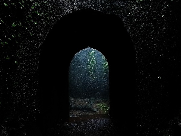 वेंकटगिरी का किला 