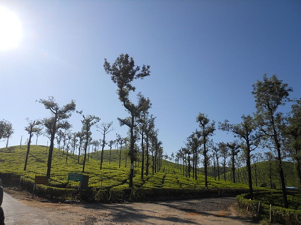 क्यों आएं टॉपस्लिप ? 