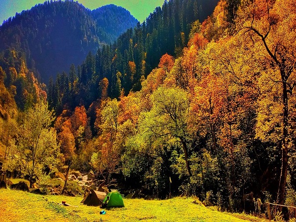 वन्य जीव अभयारण्य और उद्यान 