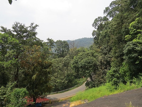 आने का सही समय 