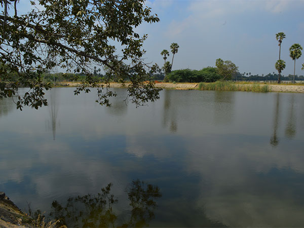 हरिकेन प्वॉइंट